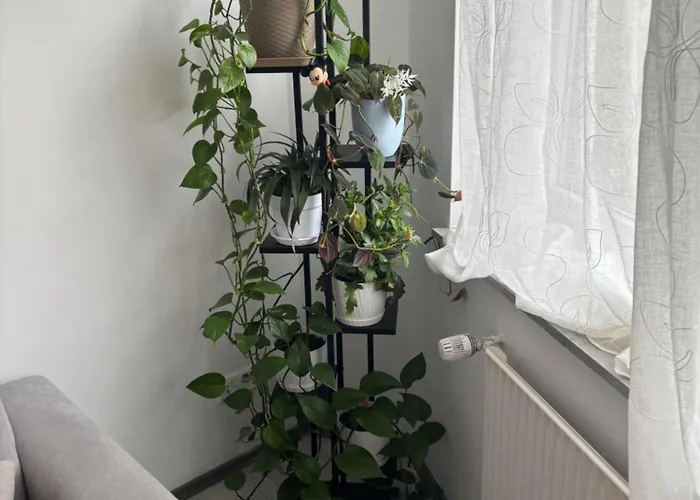 Hoch-7 公寓 特森